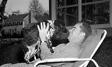 6 History Making Dogs