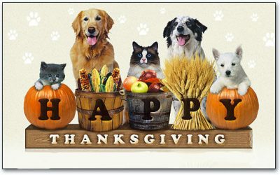 16,000 lbs “Puppy Food Give Away” this Thanksgiving Week!