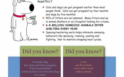 Why Spay/Neuter?