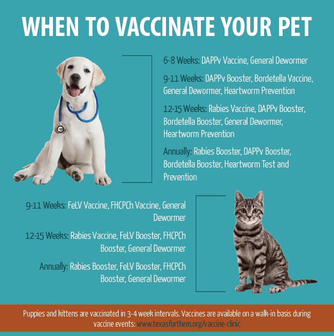 vaccination chart