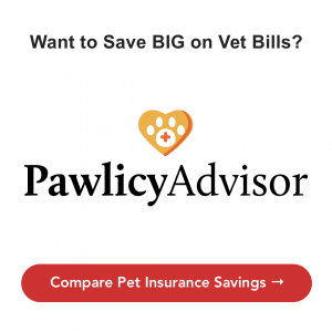 pawlicyAdvisor Ad